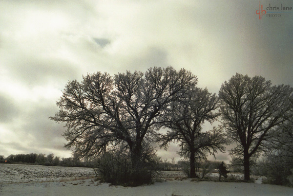 winter-clouds