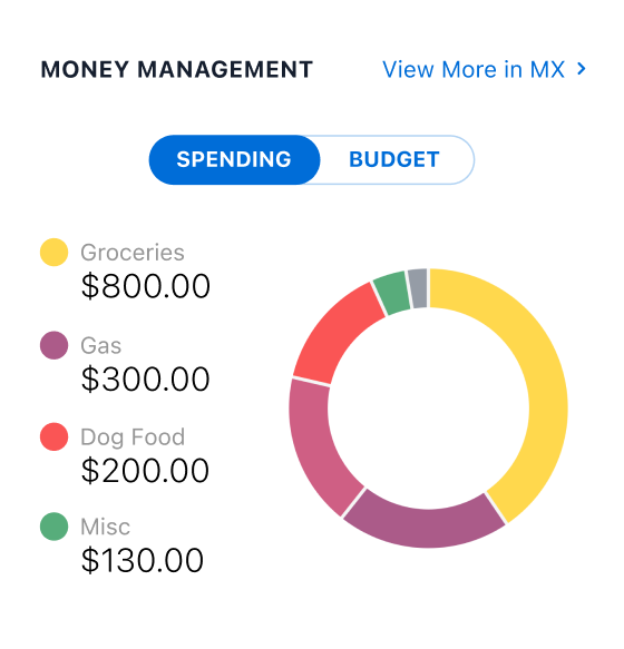 NCR-Widget-MoneyM